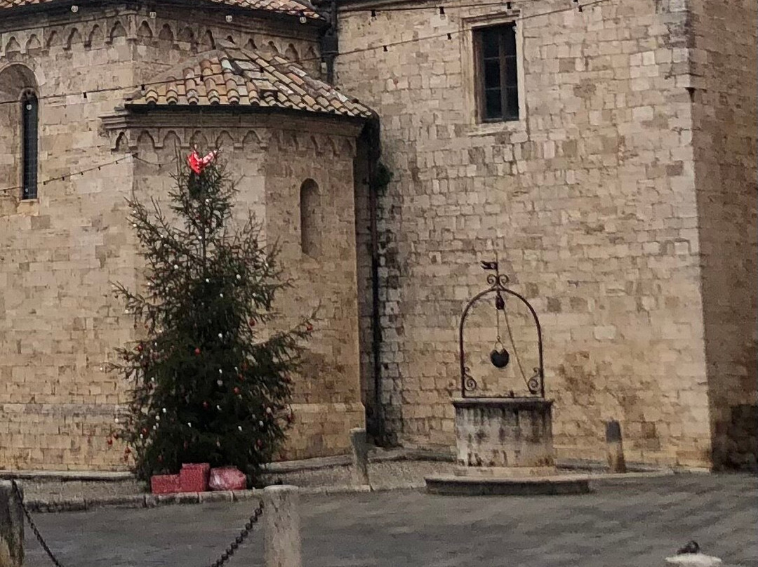 Il Pozzo della Collegiata
