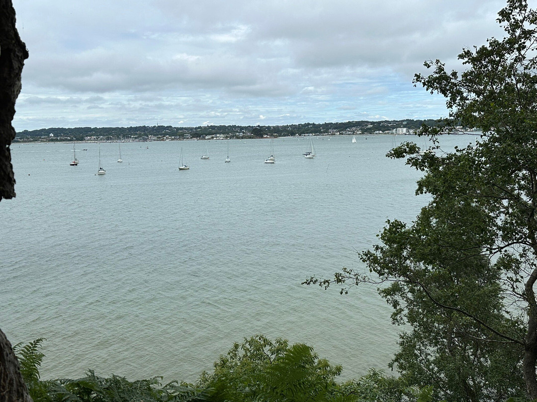 Brownsea Island-普尔必去景点