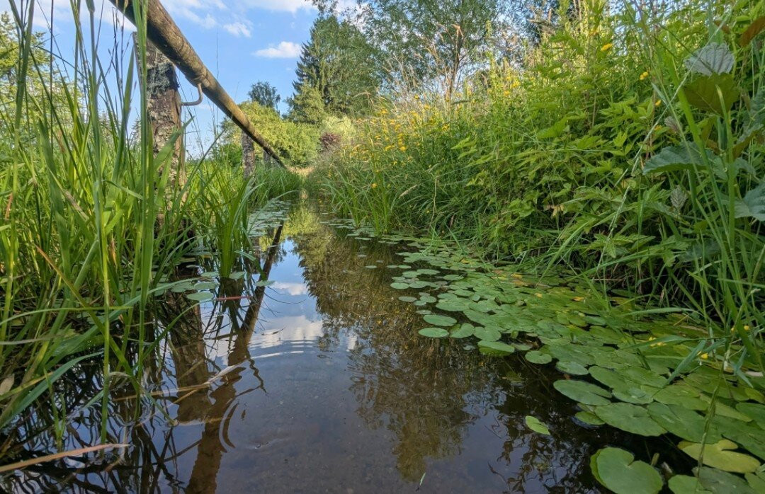Schontalweiher-Ludwigswinkel必去景点