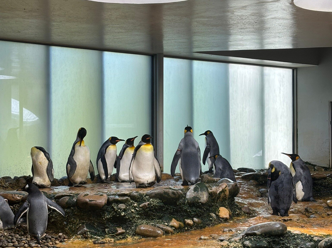 Zoo Basel-巴塞尔必去景点
