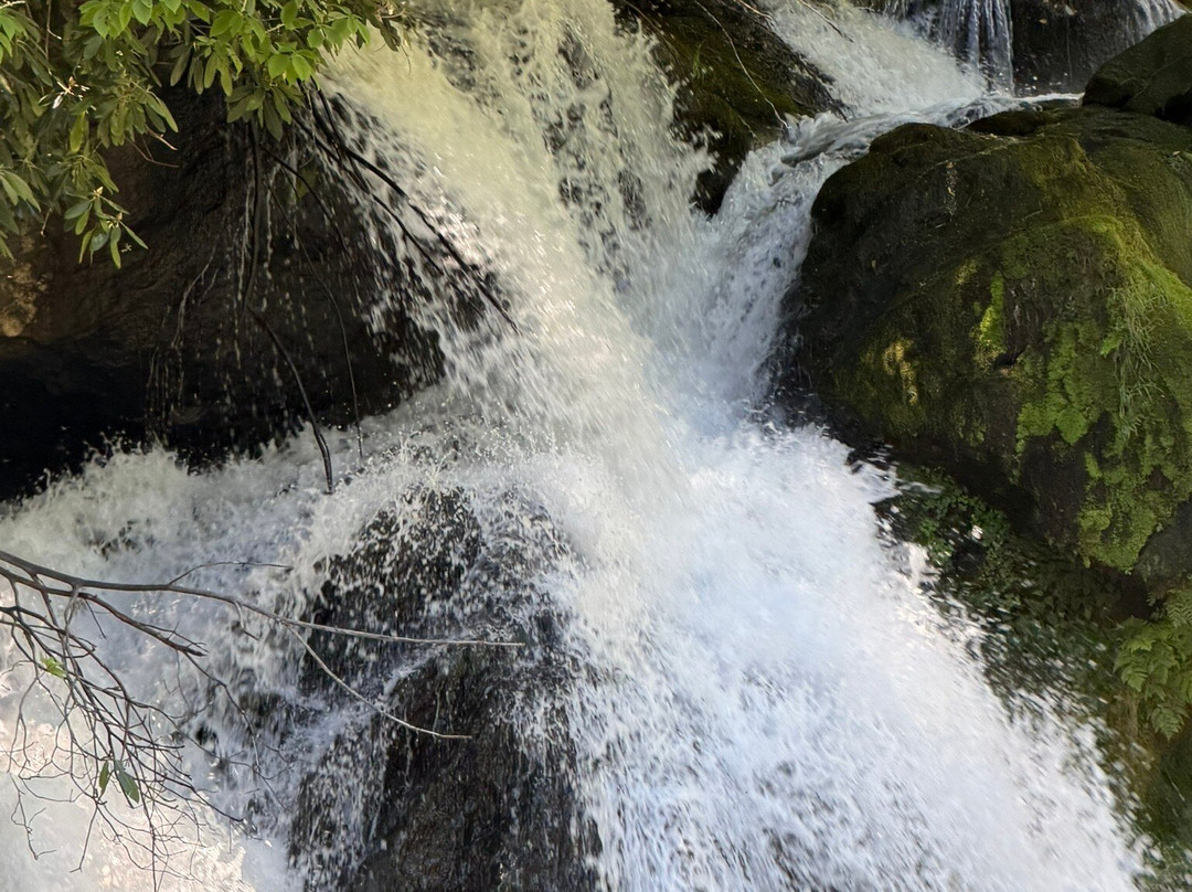 Lake Glenville Scenic Waterfall Cruises-Cashiers必去景点