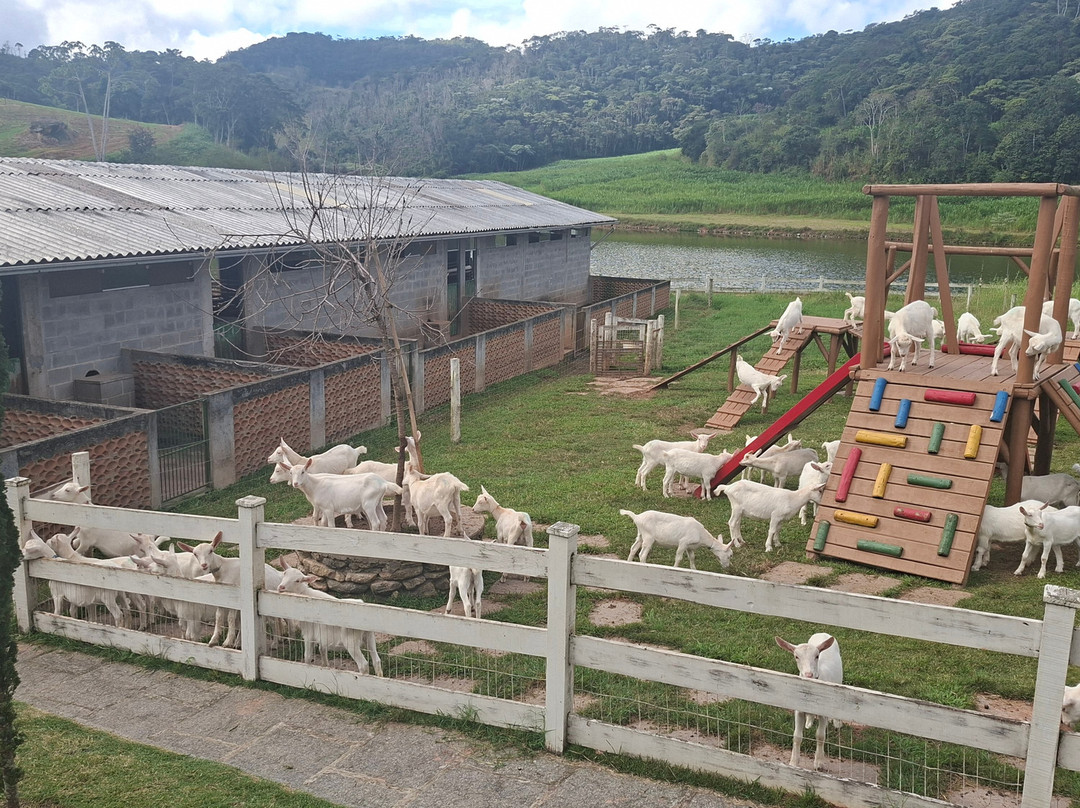 Capriana Granja Leiteira-Sapucaia必去景点