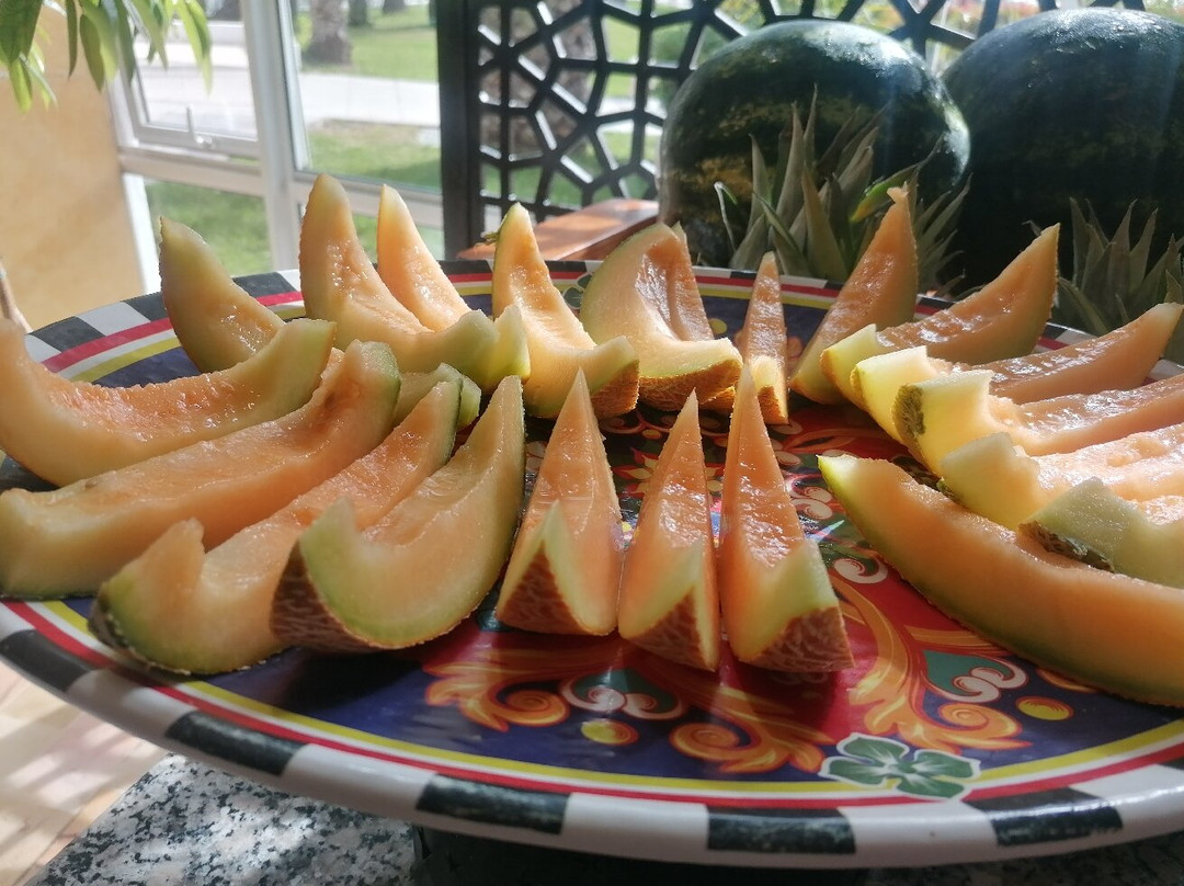 JAZ土耳卡里芙主图