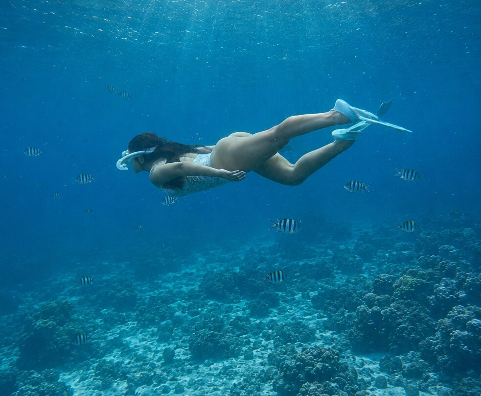 Touza Dolphin Safari & Charters Ltd-La Preneuse必去景点