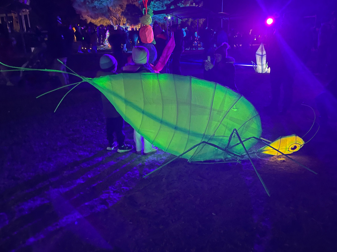East Gippsland Winter Festival-莱克斯恩特伦斯必去景点