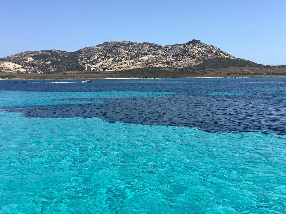 Escursioni Alghero Asinara-阿尔盖罗必去景点