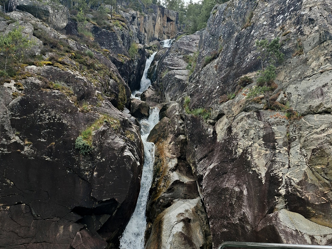 Hardanger Fjordsafari-Eidfjord必去景点