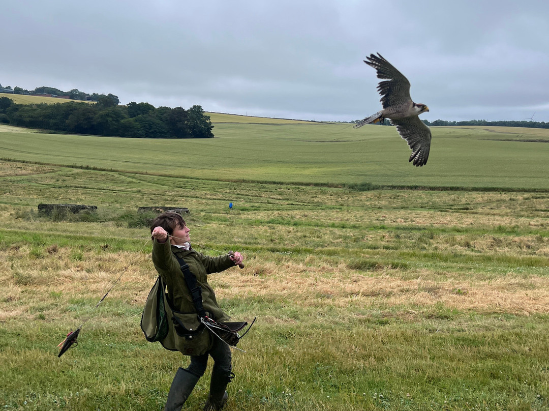 Elite Falconry-Kirkcaldy必去景点