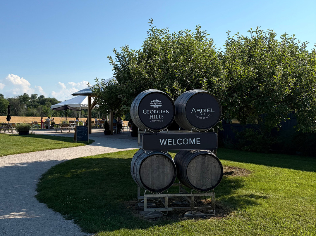 Georgian Hills Vineyards-蓝山必去景点