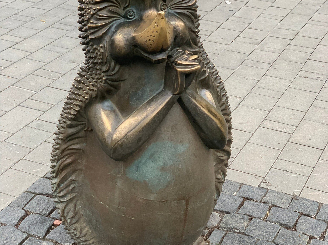 Hedgehog At Mushroom Glade-图拉必去景点