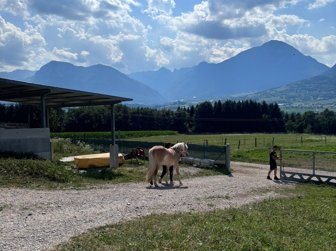 Fattoria Didattica En Galavra-Comano Terme必去景点