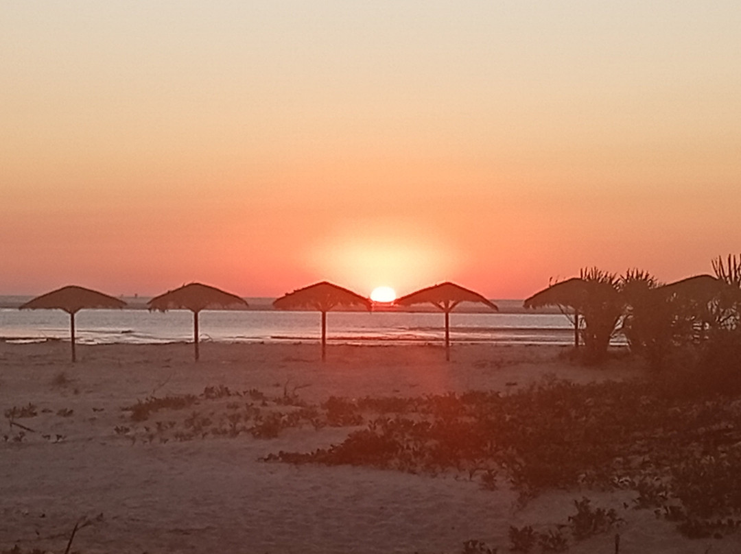 Laguna Beach主图