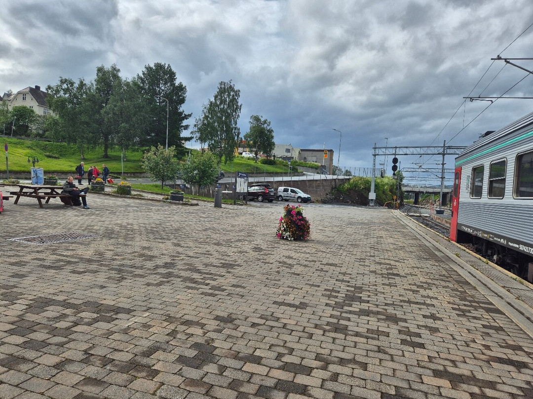 Narvik Train Station-纳尔维克必去景点