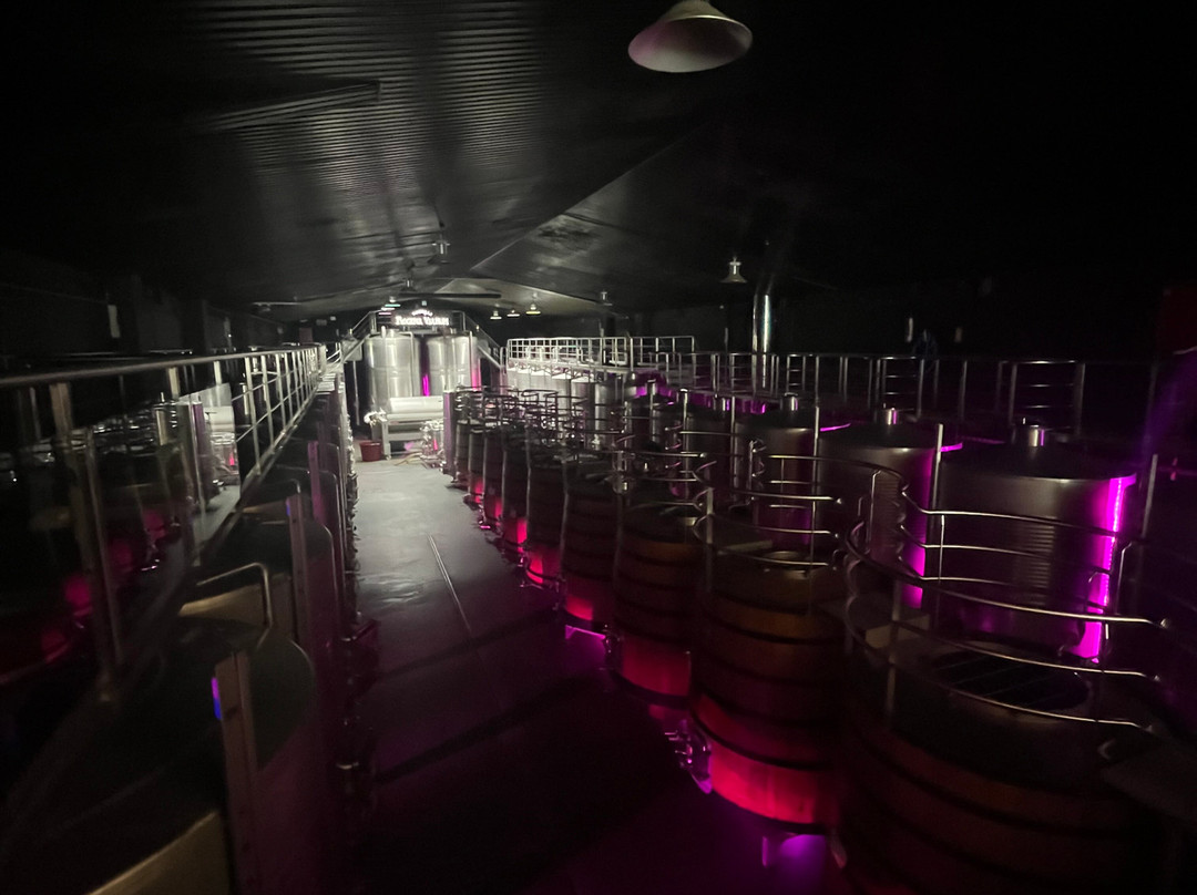 Bodegas Regina Viarum-Sober必去景点