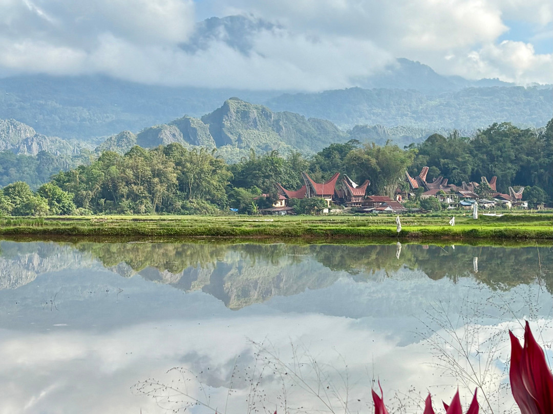 Toraja local guide-Tana Toraja必去景点