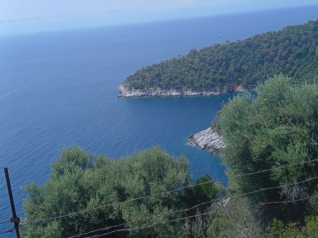 Ariadne Hotel Skopelos主图