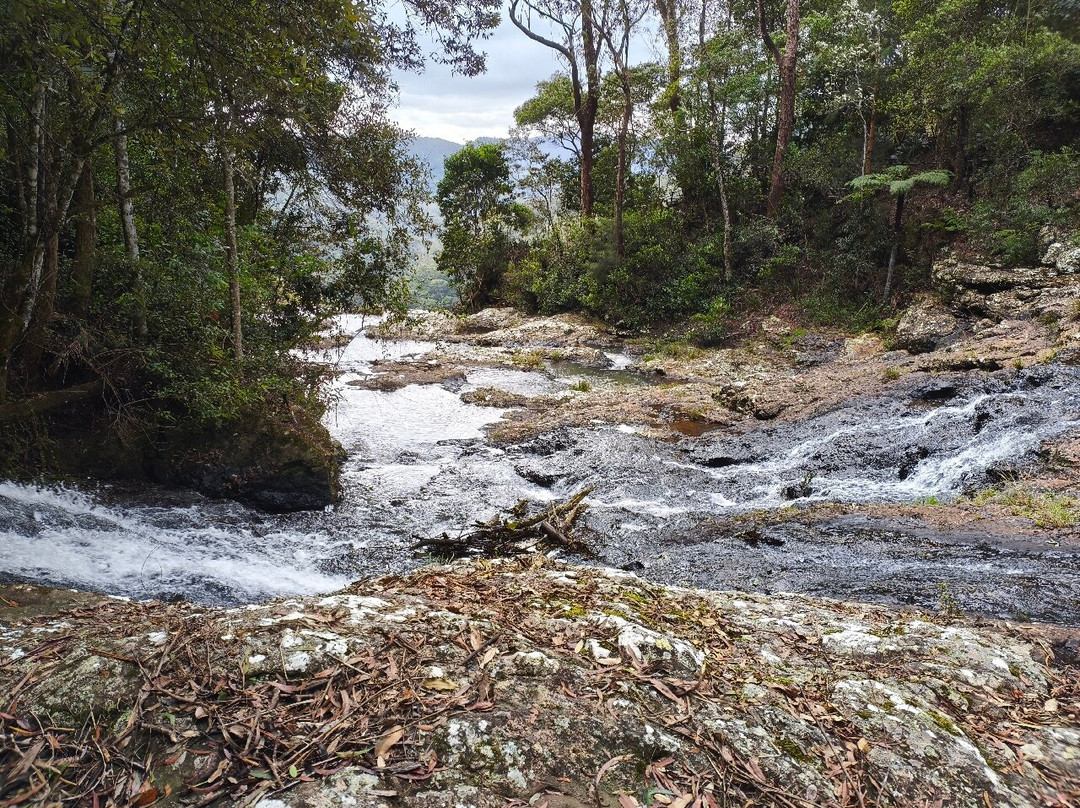 Purling Brook Falls-春之泉必去景点