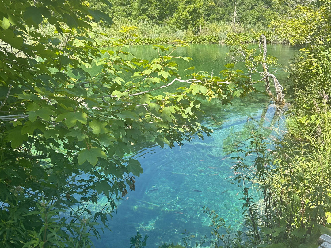 Private Driver Guide Croatia-Solin必去景点
