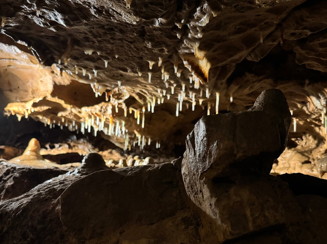 Crystal Cave-Spring Valley必去景点