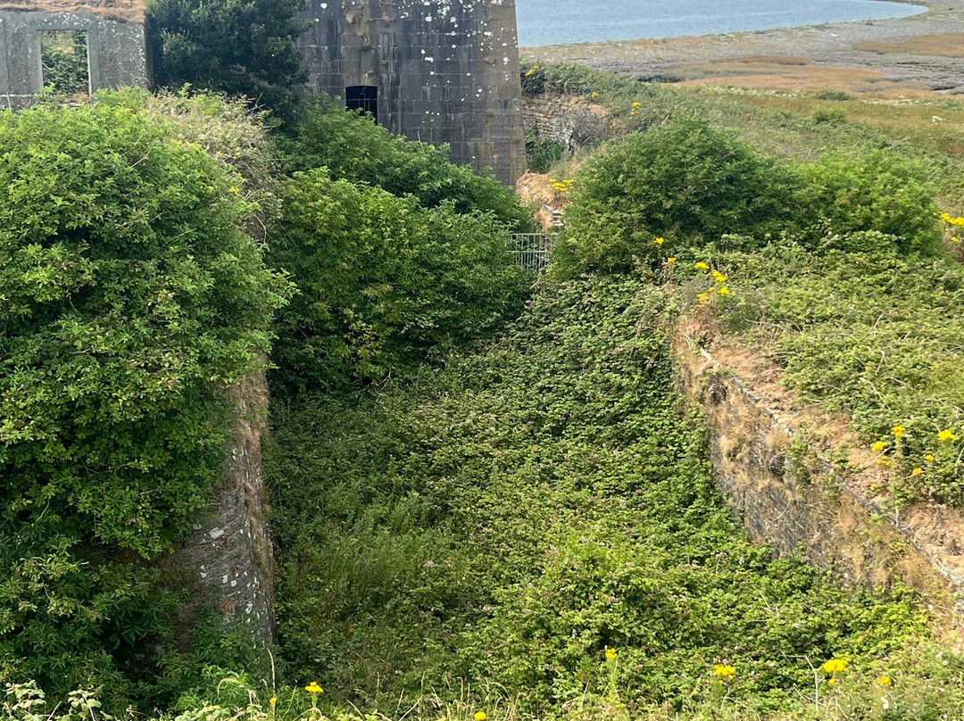 Scattery Island Tours-Kilrush必去景点