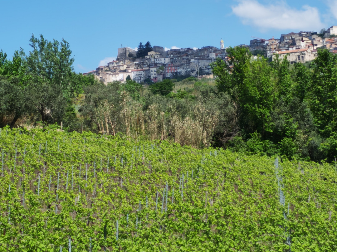 Tenuta San Girolamo