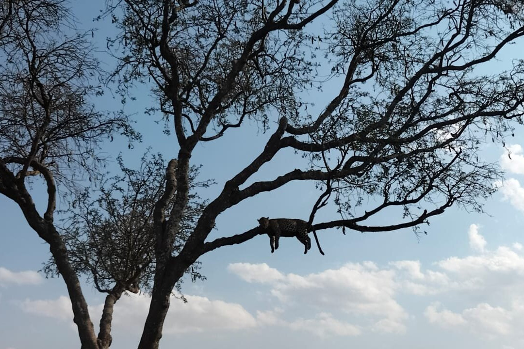 Sereland Africa Safaris-Sakina必去景点