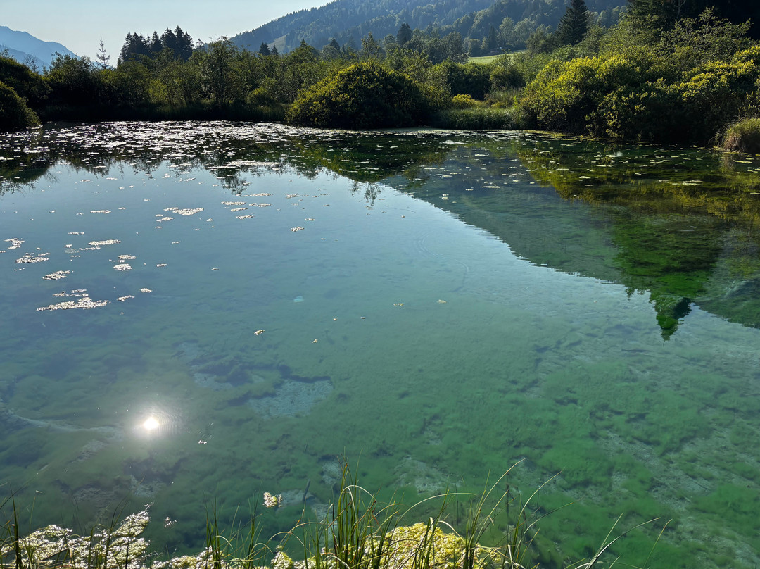 Zelenci Nature Reserve-Kranjska Gora必去景点