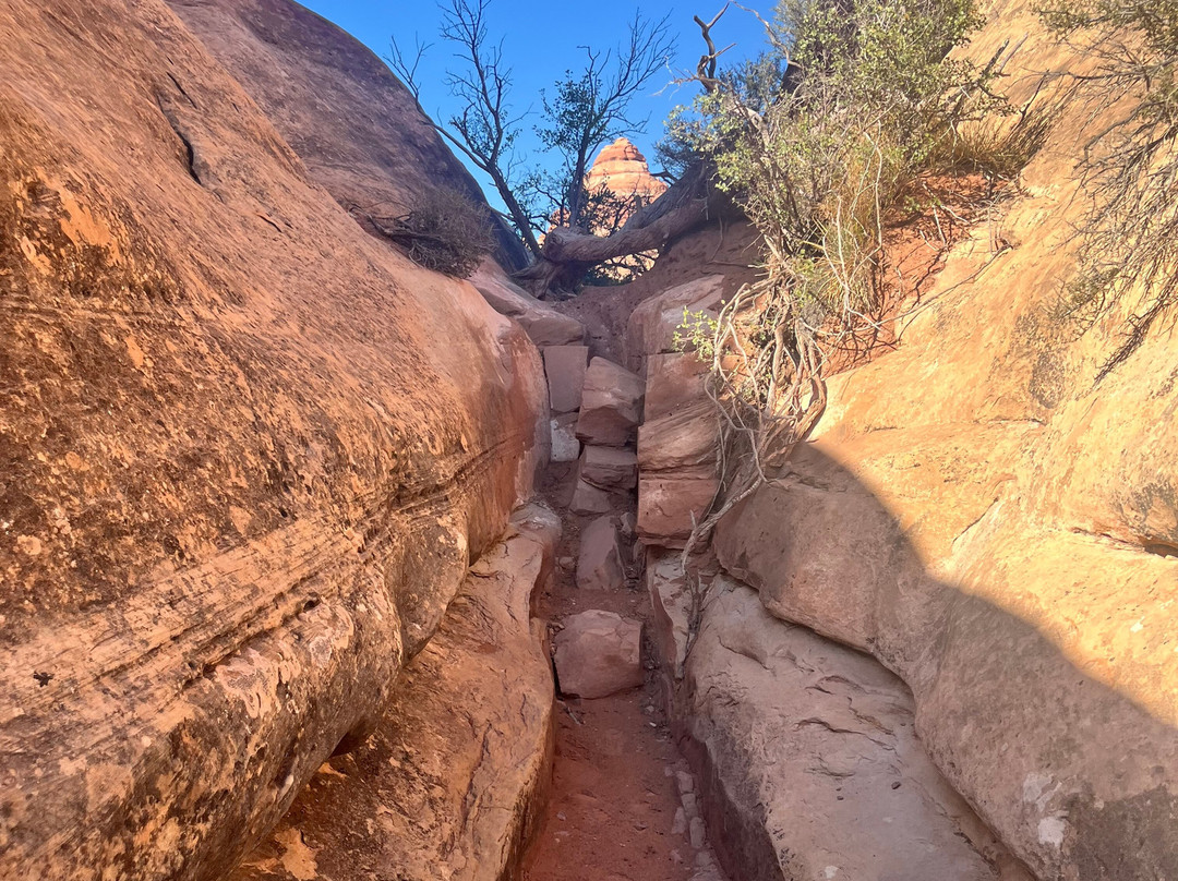 Chesler Park Loop Trail-Monticello必去景点