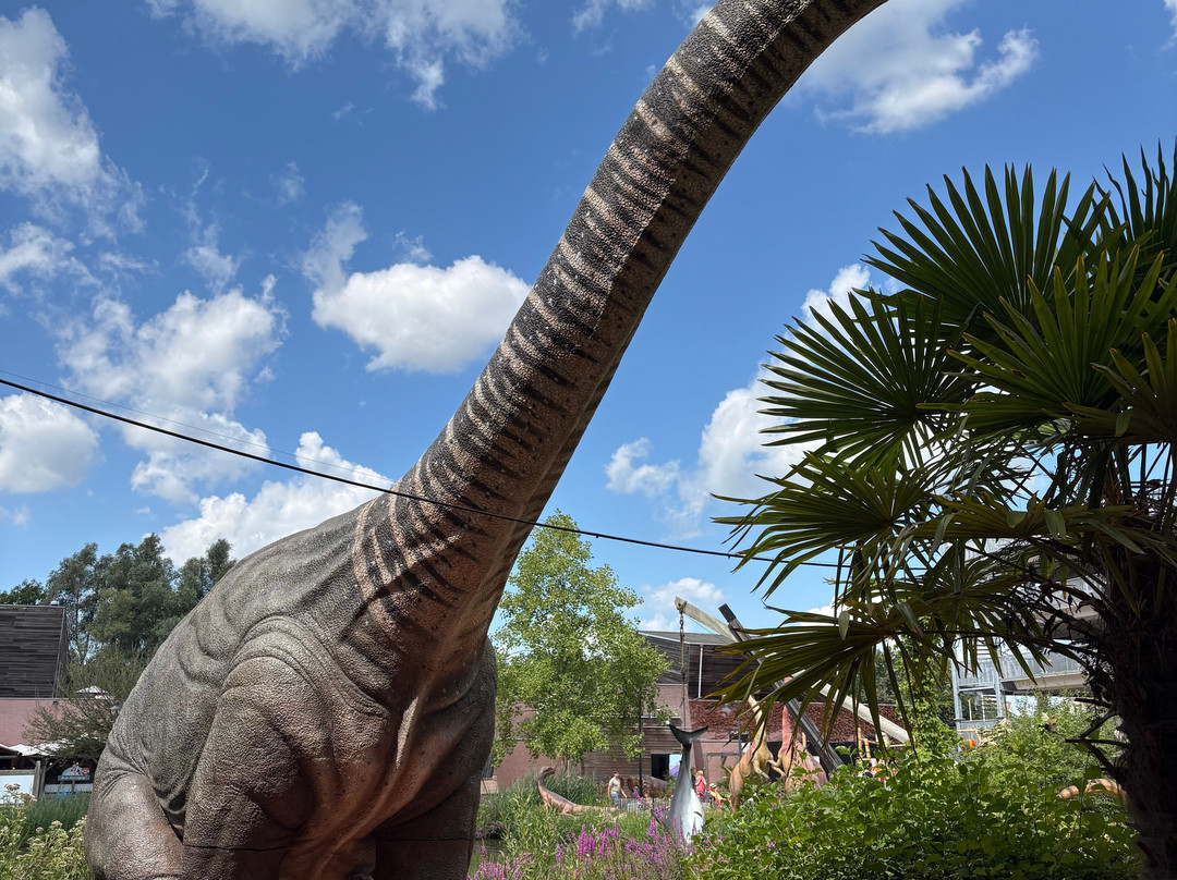 Dinoland Zwolle-兹沃勒必去景点