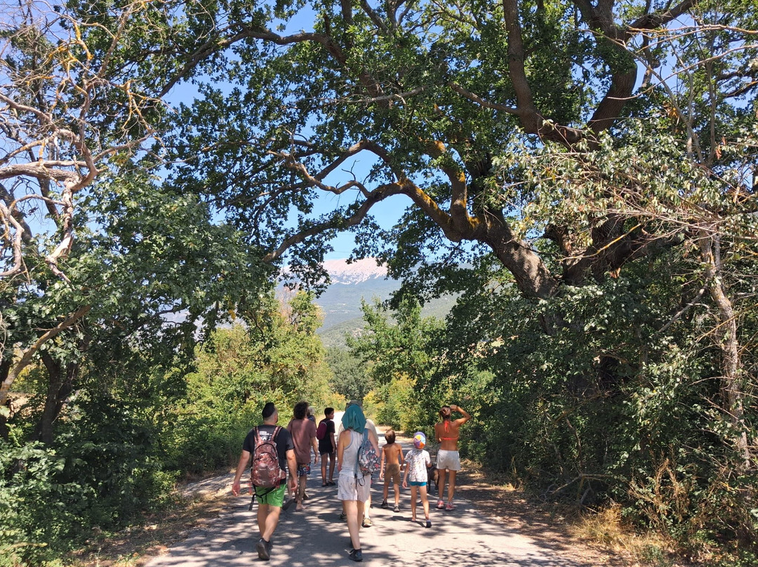 Tenuta IL Guerriero