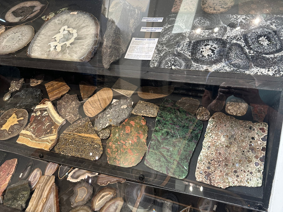 Dinosaurland Fossil Museum-莱姆里杰斯必去景点