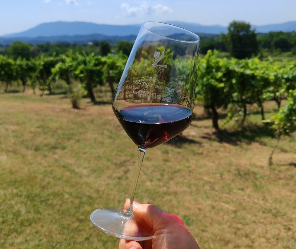 Azienda Vitivinicola Pileum-Piglio必去景点