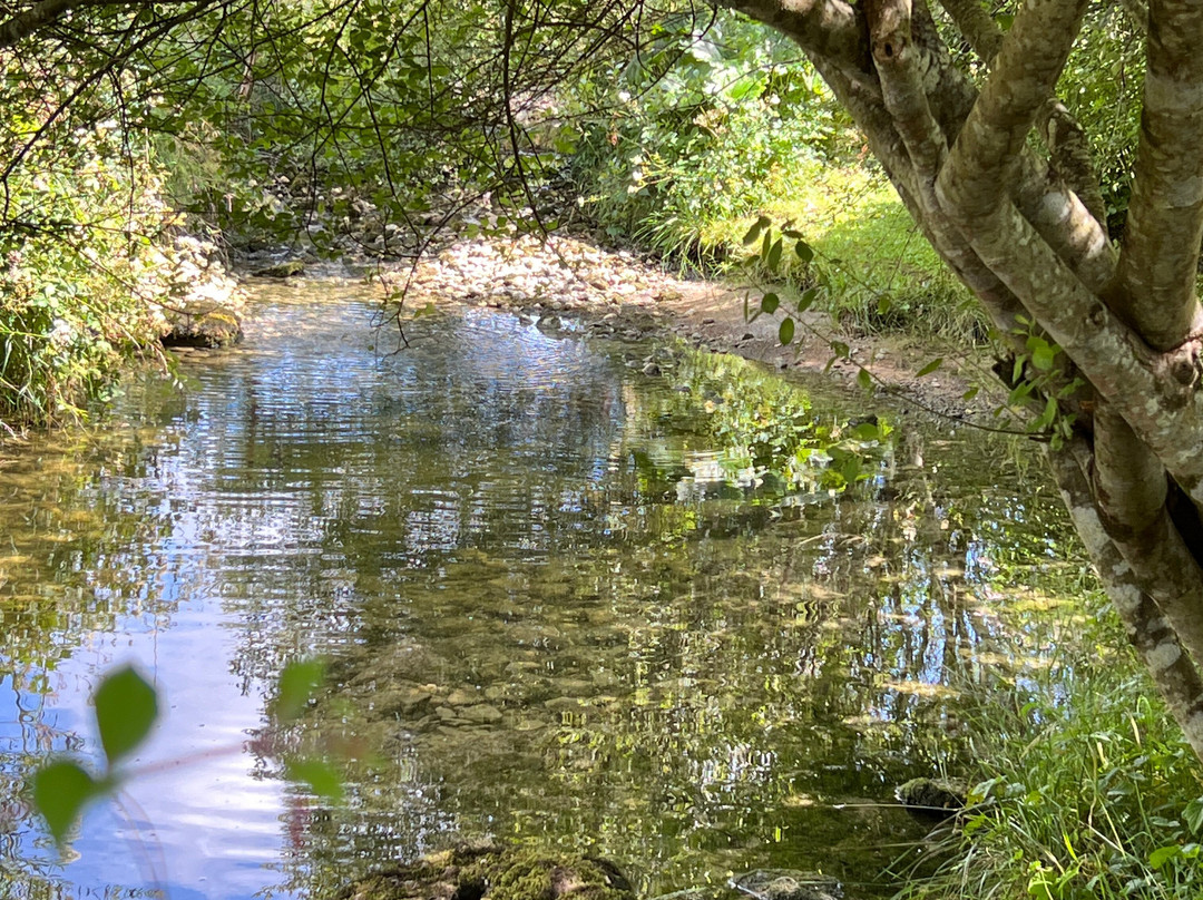 Caher Bridge Garden-Ballyvaughan必去景点