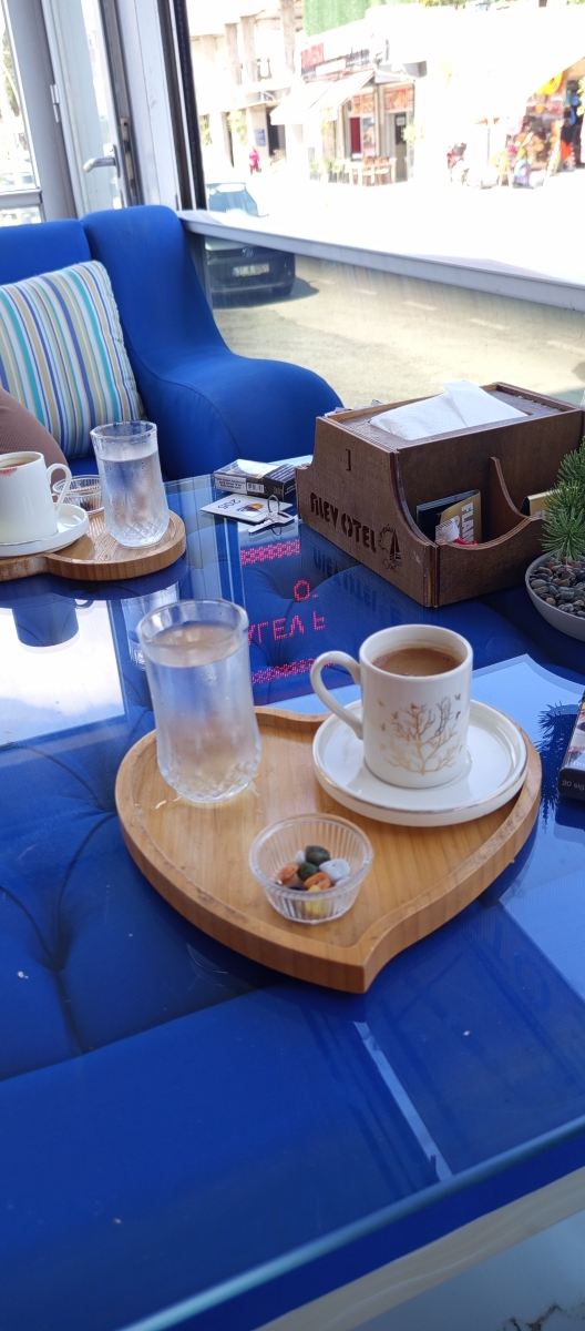 Alev Palace Otel-旅行者