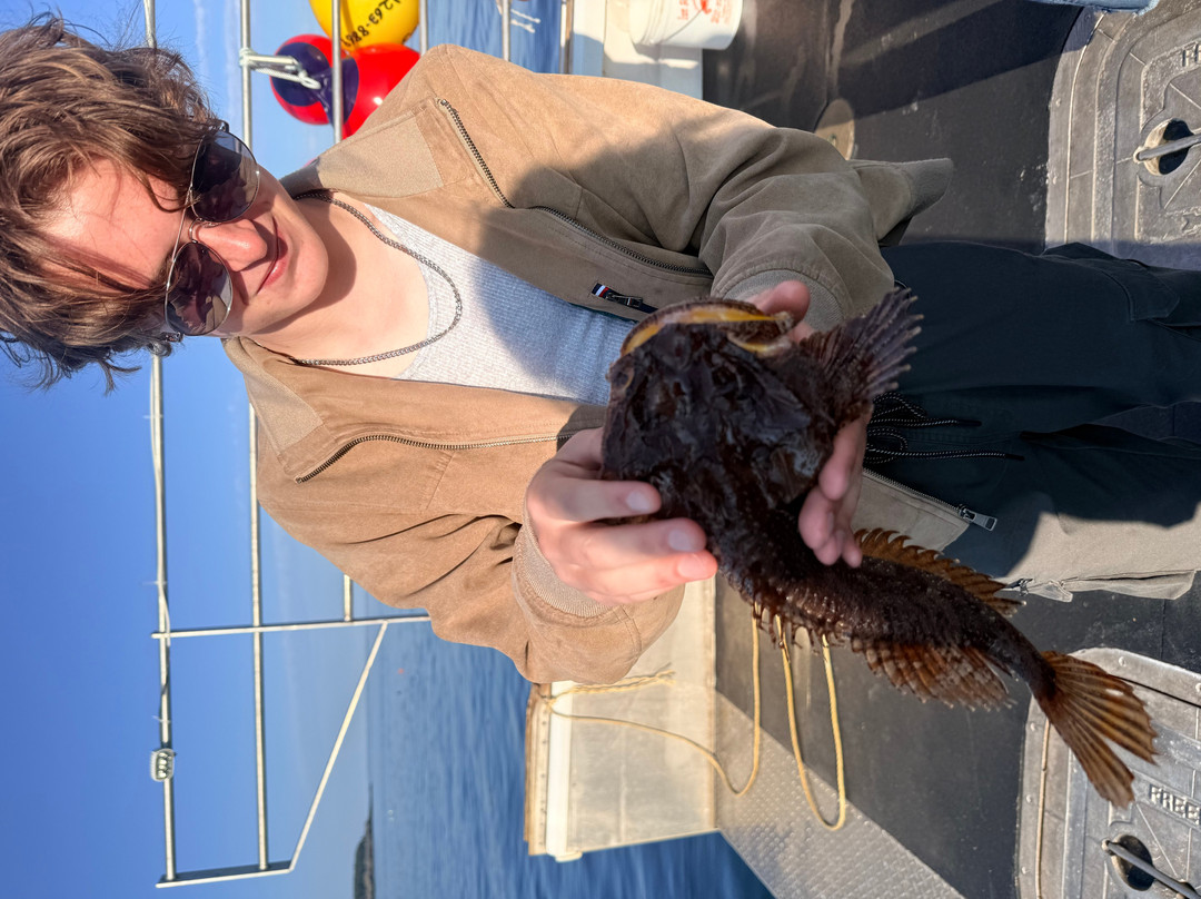 Cutler Harbor Tours