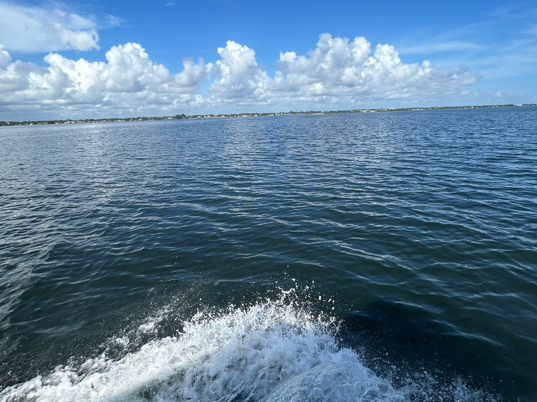 Good Natured River Tours-墨尔本必去景点