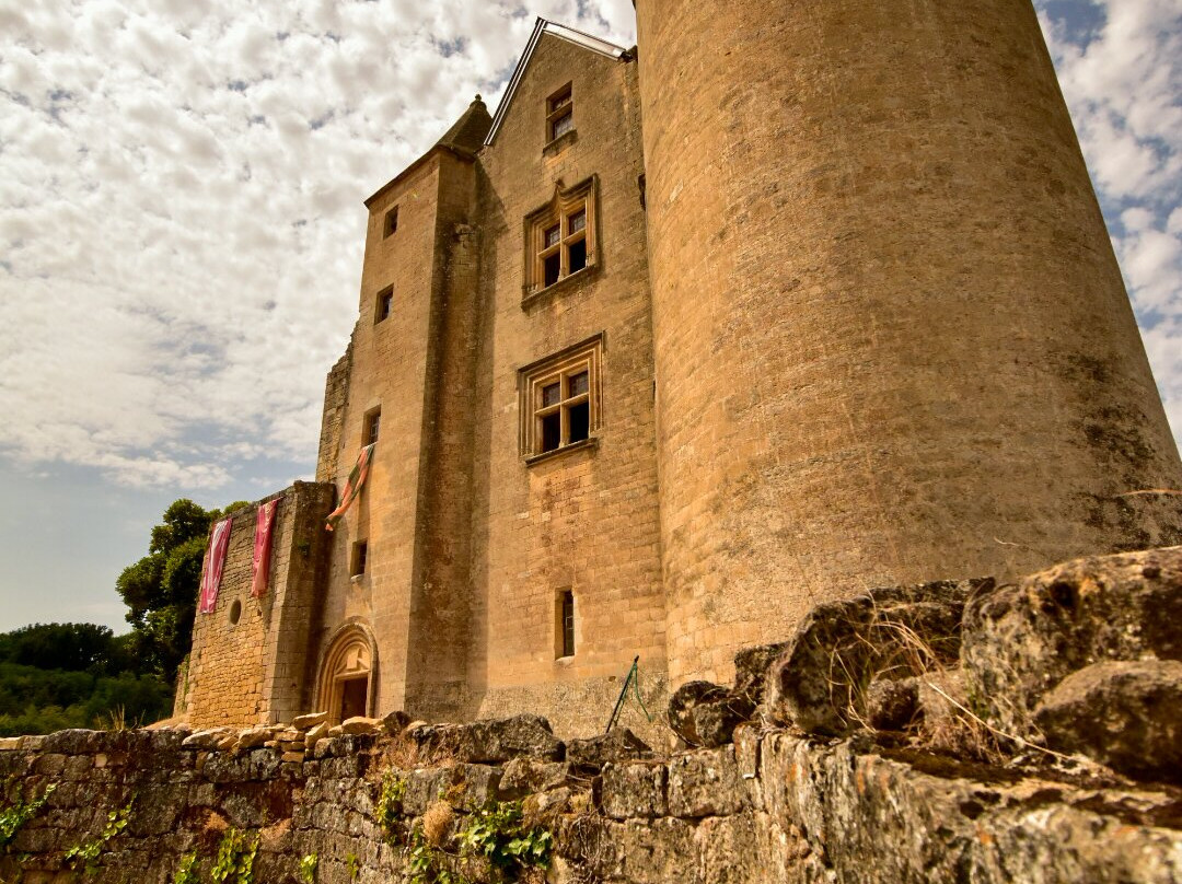 Château de Salignac-Salignac-Eyvigues必去景点