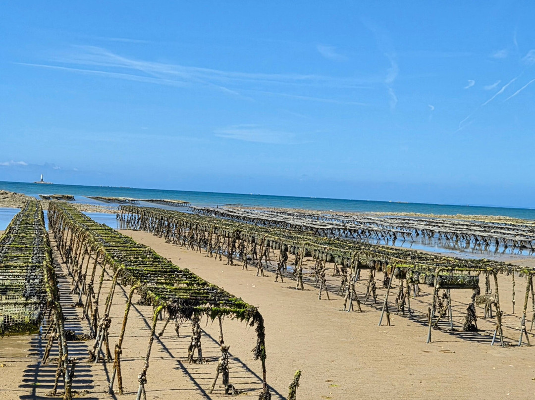 Attelage des Grandes Marées-Gouville-sur-Mer必去景点