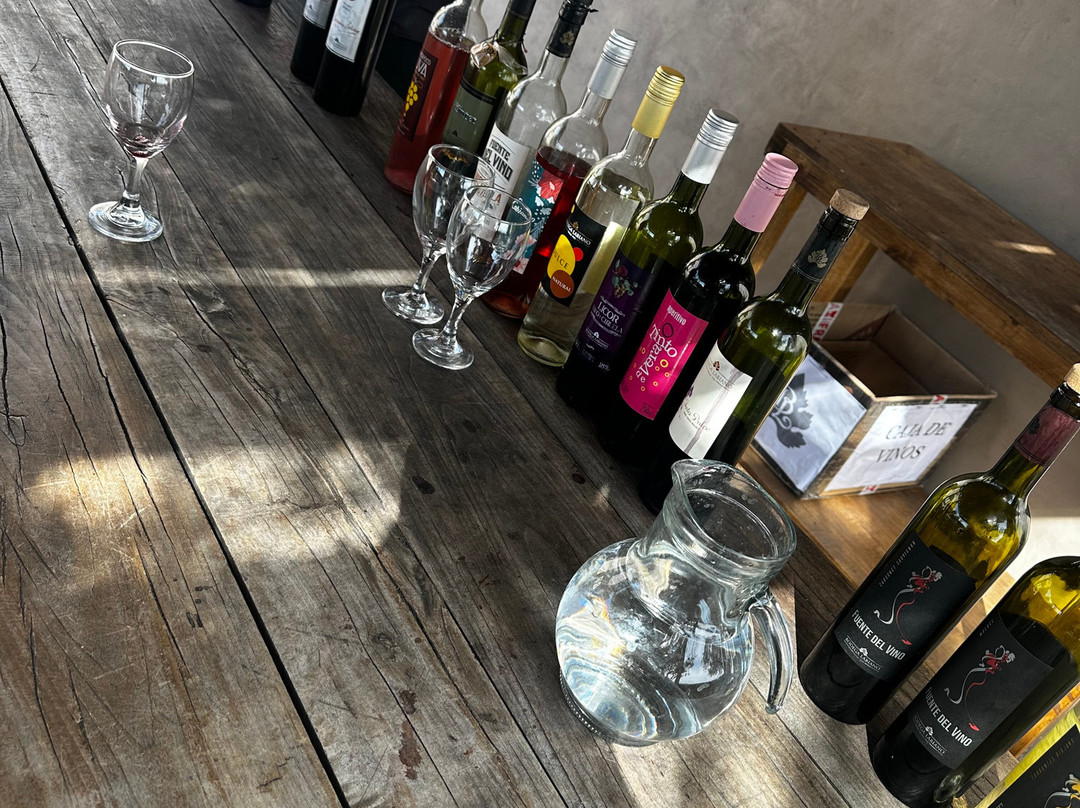Bodega Labiano-圣拉斐尔必去景点