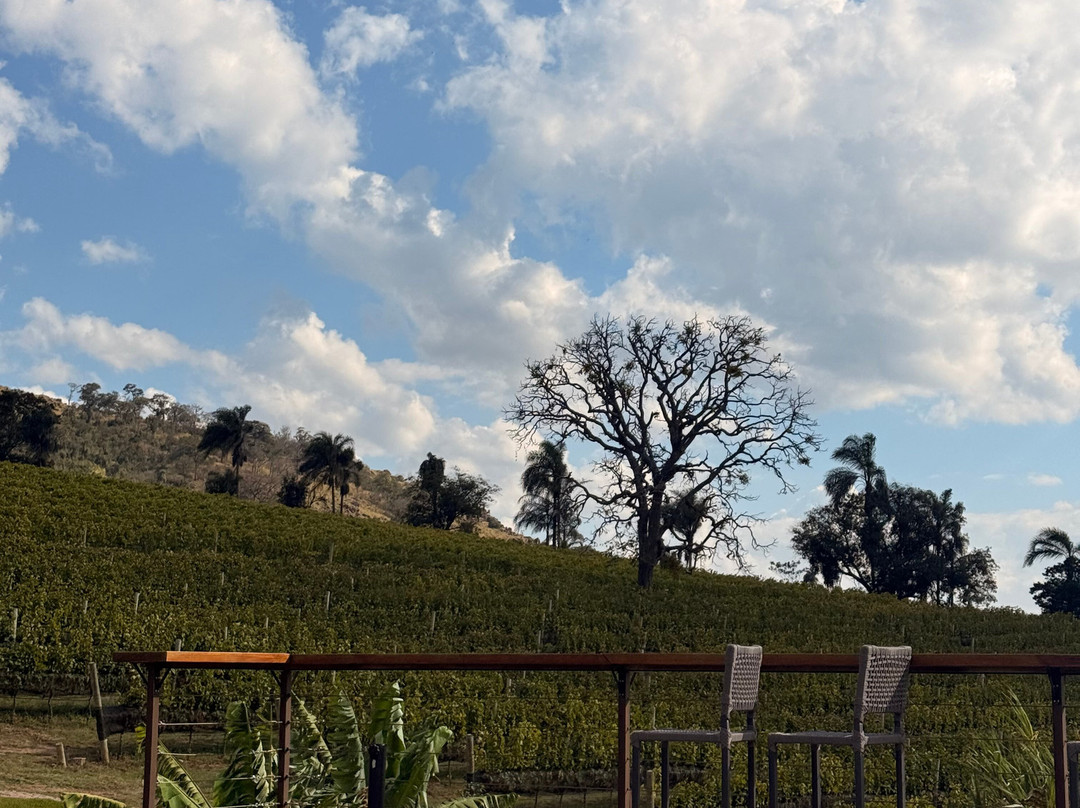 Vinícola Amana-Espirito Santo Do Pinhal必去景点