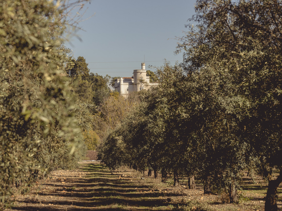 Azeite Casa Anadia - Olive Oil & Tours-Abrantes必去景点