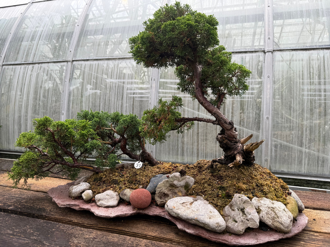 Krohn Conservatory-辛辛那提必去景点