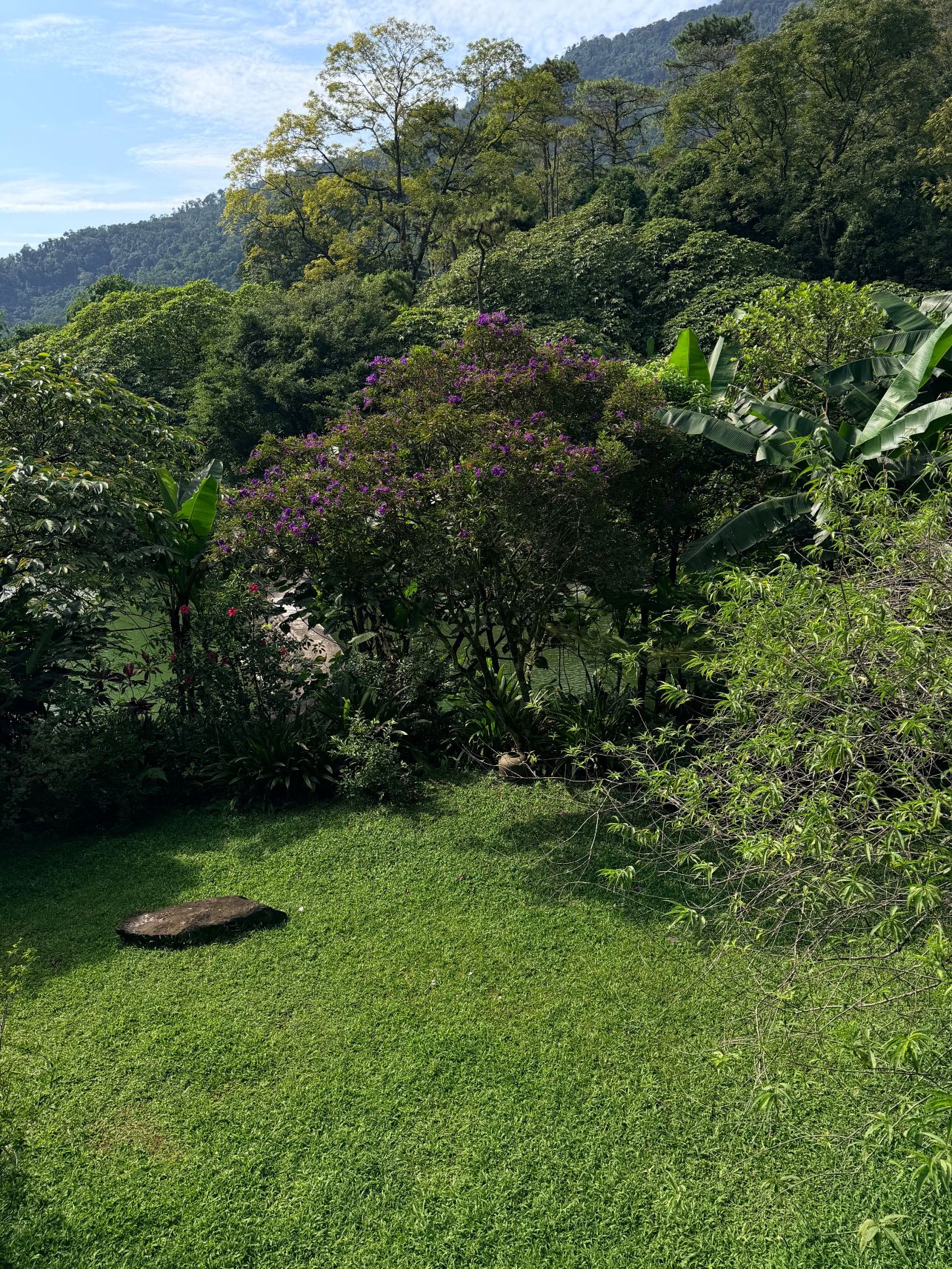 巴位山美利亚度假酒店-旅行者