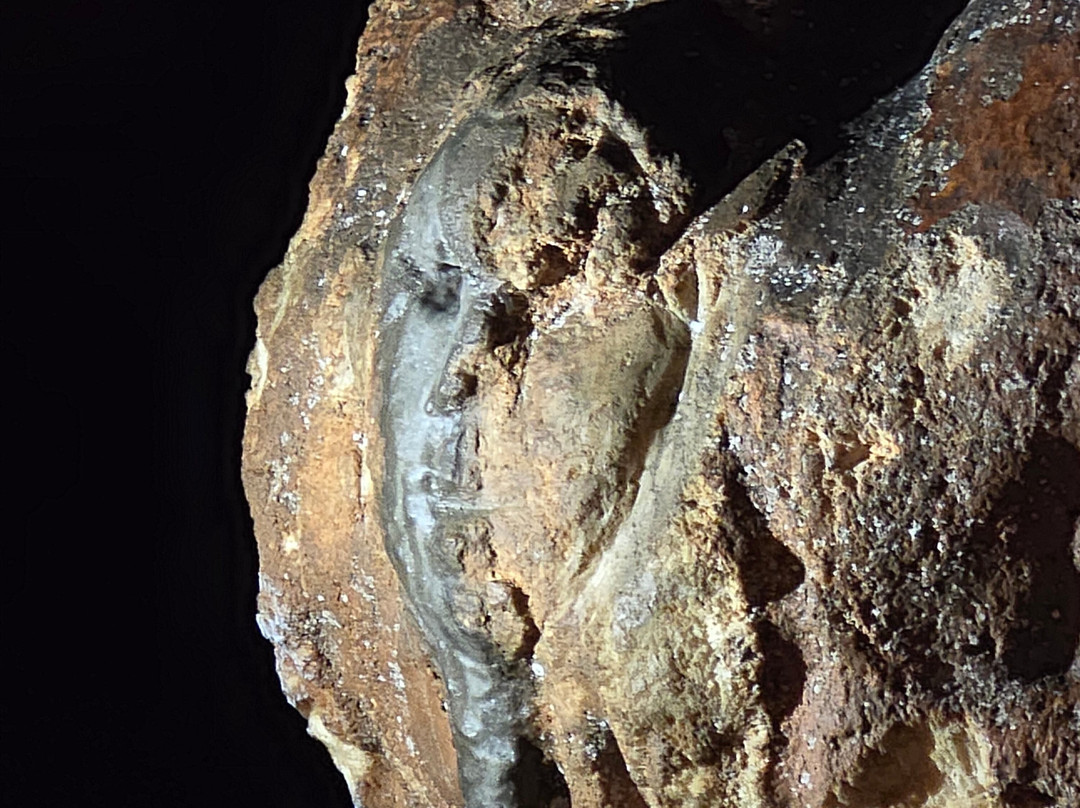 Melrose Caverns-哈里森堡必去景点