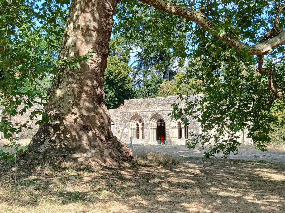 Site Abbatial de Saint-Maurice-Clohars-Carnoet必去景点