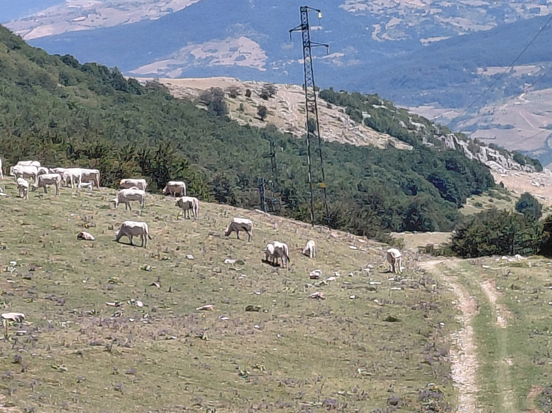 Impianti Campo di Giove-Campo Di Giove必去景点
