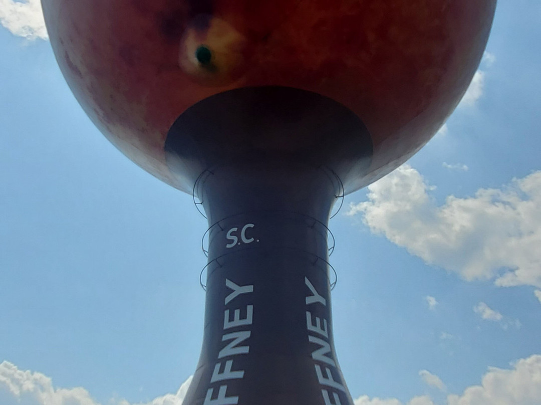 The Peachoid-Gaffney必去景点