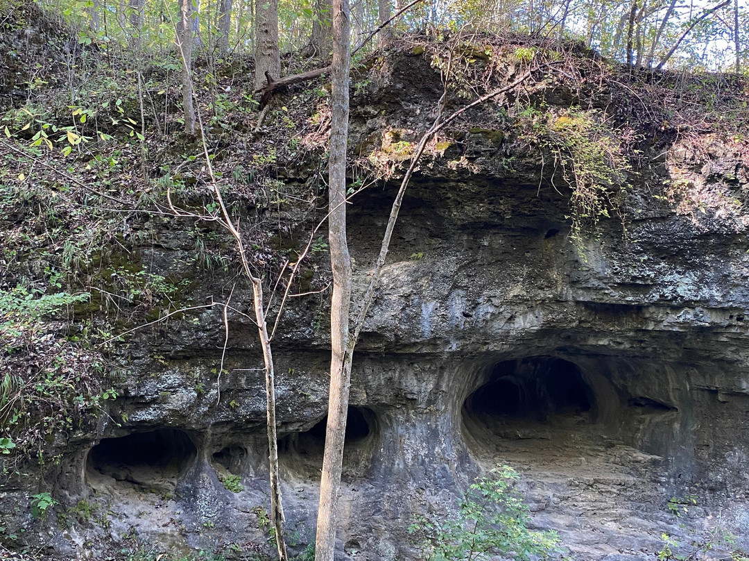 The Highlands Nature Sanctuary-Bainbridge - Ross County必去景点
