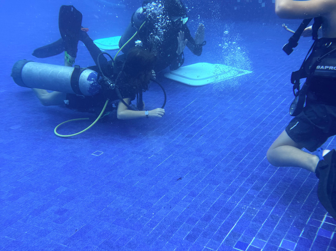 Dressel Divers Playa Del Carmen-普拉亚德尔卡曼必去景点