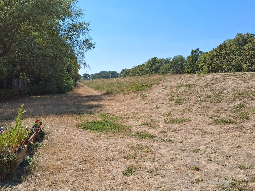 Tisza-tavi Okocentrum-Poroszlo必去景点